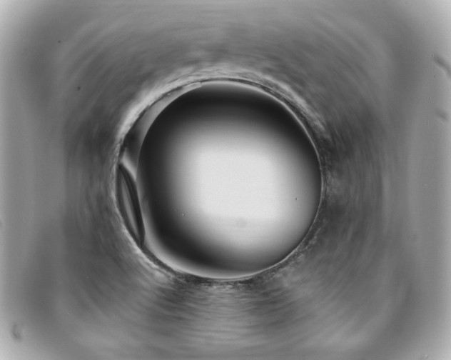 X0000094231512200710261246