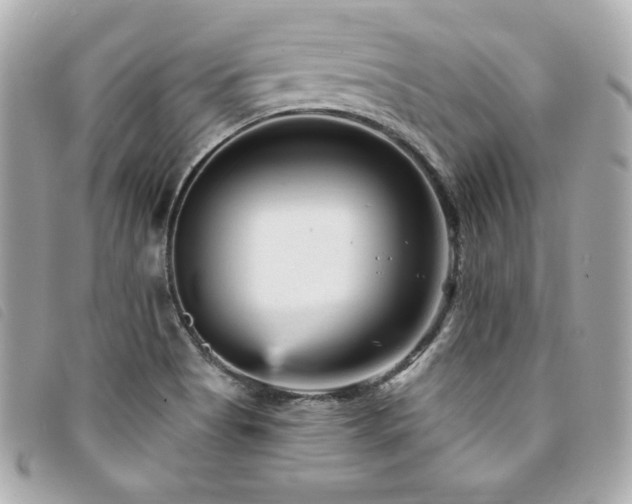 X0000094231513200710261246