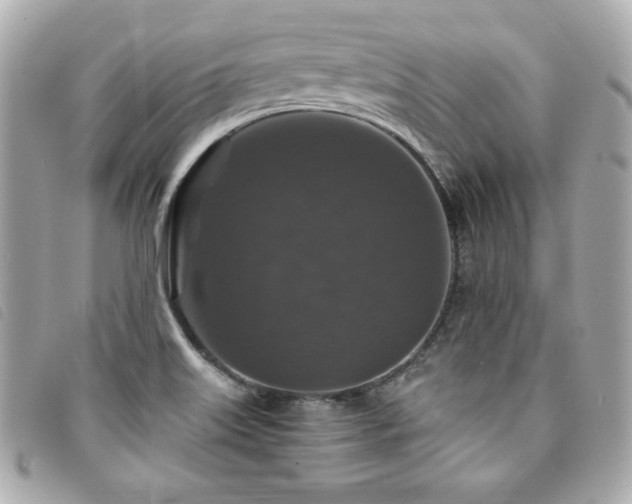X0000094231515200710261246