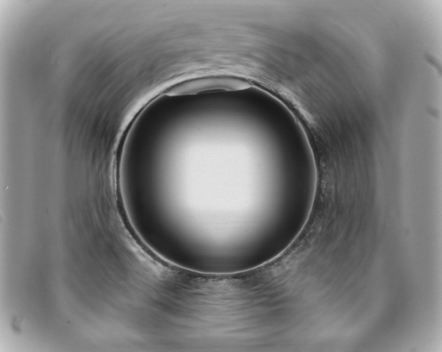 X0000094231516200710261246