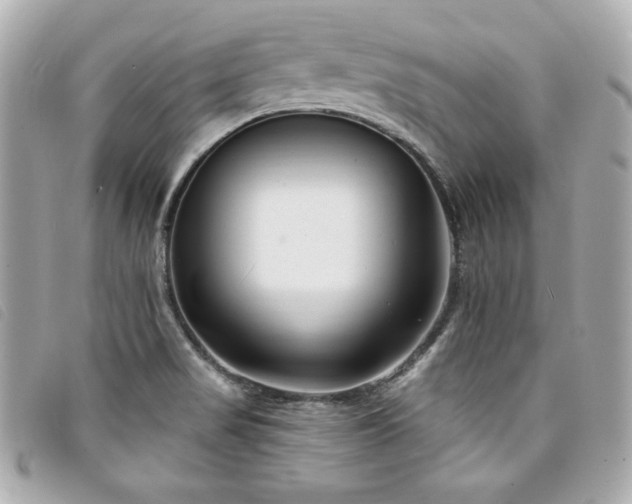 X0000094231517200710261246
