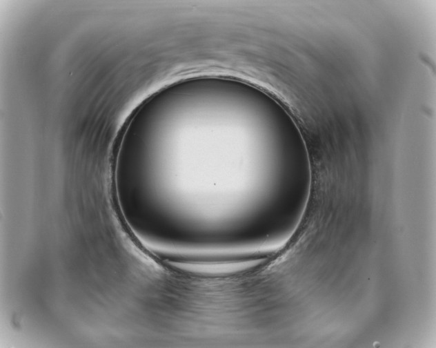 X0000094231518200710261246
