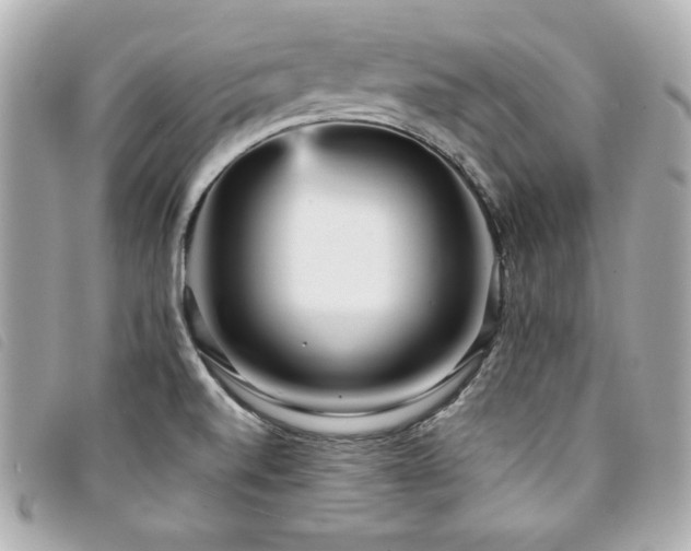 X0000094231520200710261246