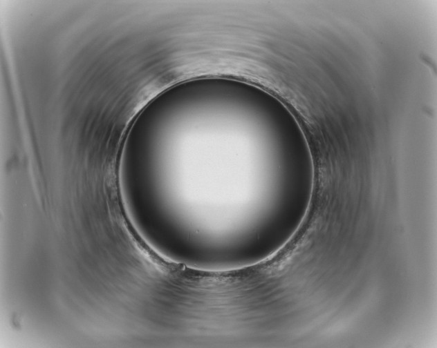 X0000094231521200710261246