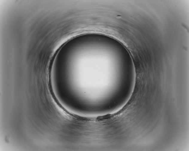 X0000094231523200710261246