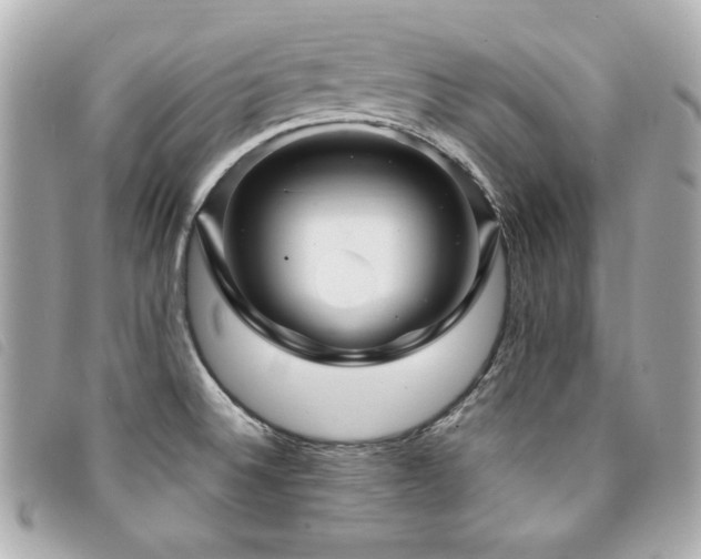 X0000094231524200710261246