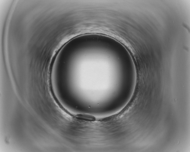 X0000094231525200710261246