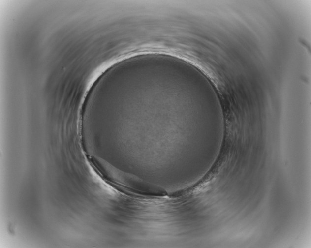 X0000094231527200710261246