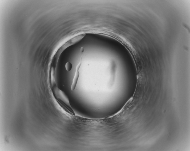 X0000094231528200710261246
