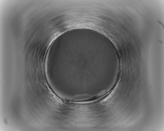 X0000094231529200710261246