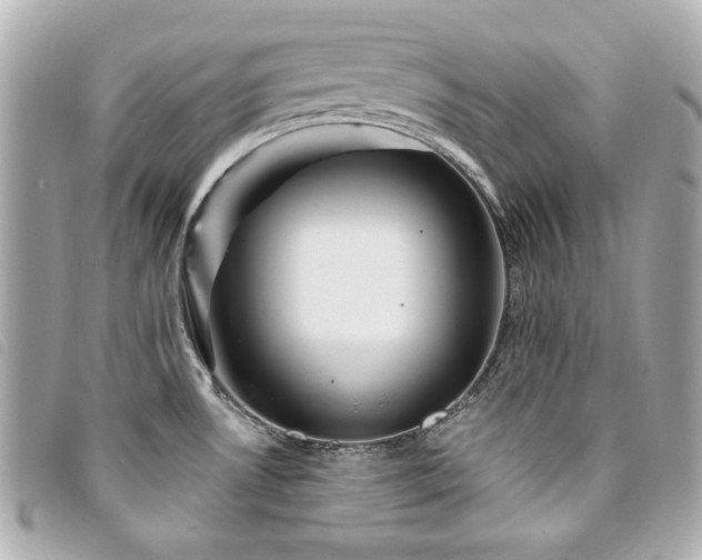 X0000094231530200710261246