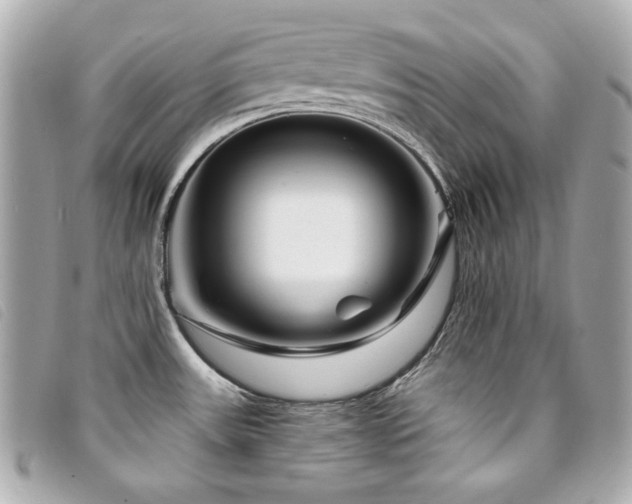 X0000094231531200710261246