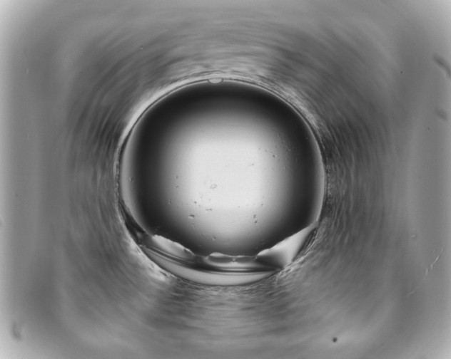 X0000094231532200710261246
