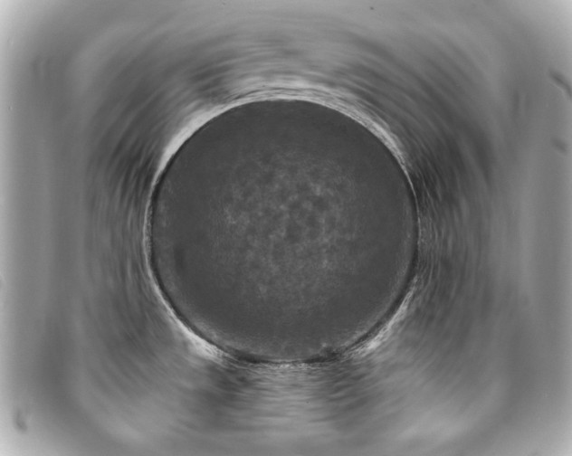 X0000094231533200710261246
