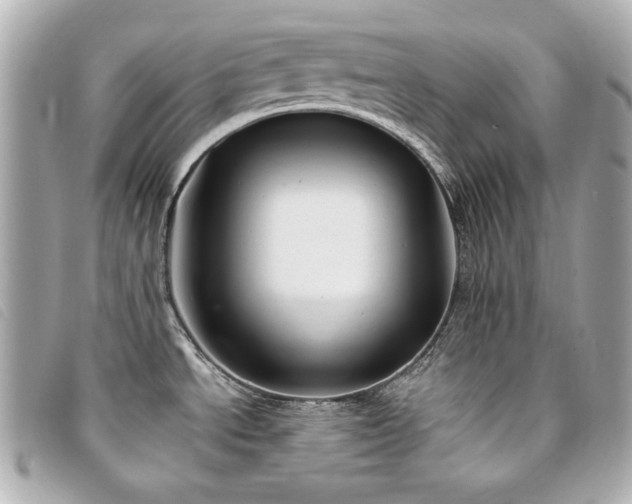X0000094231534200710261246
