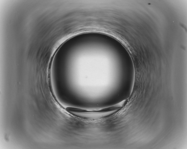 X0000094231535200710261246
