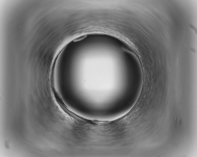 X0000094231536200710261246