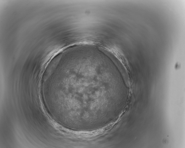 X0000094230001200711021214