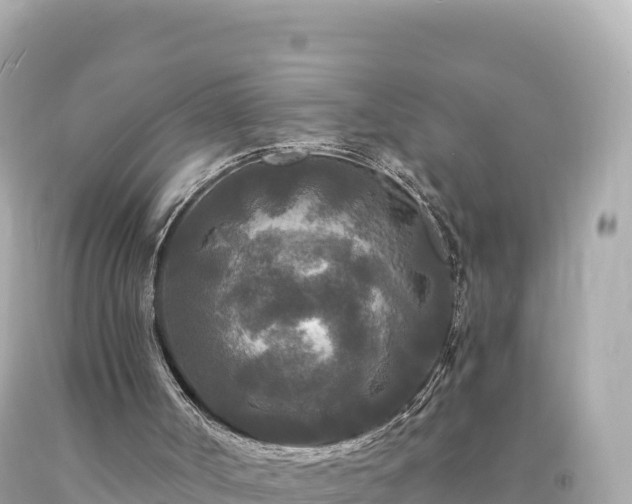 X0000094230002200711021214