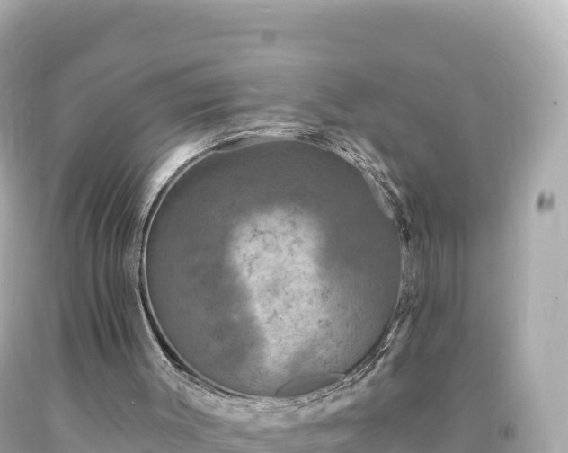 X0000094230003200711021214