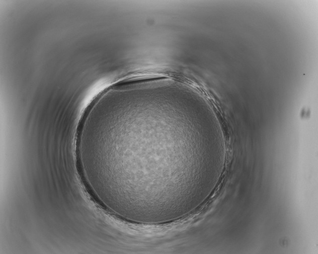 X0000094230006200711021214