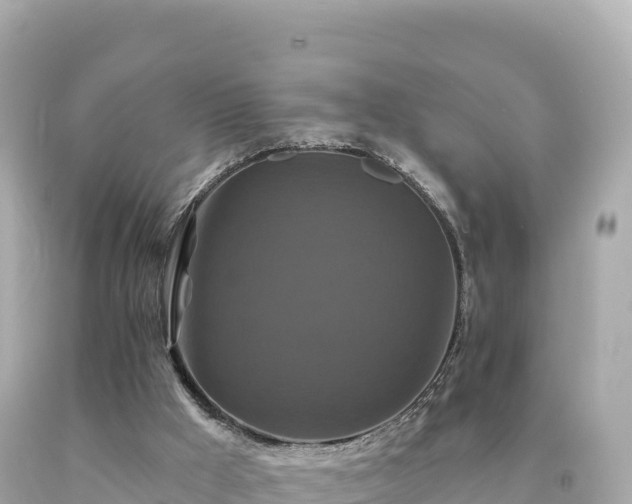 X0000094230009200711021214