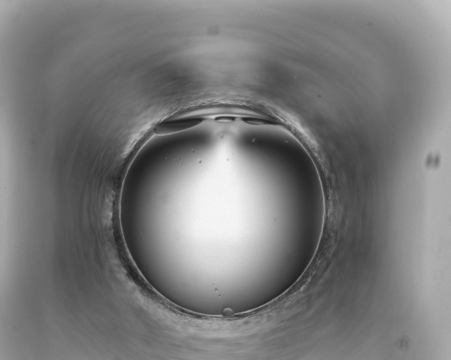 X0000094230010200711021214