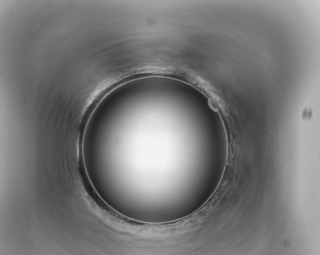 X0000094230011200711021214