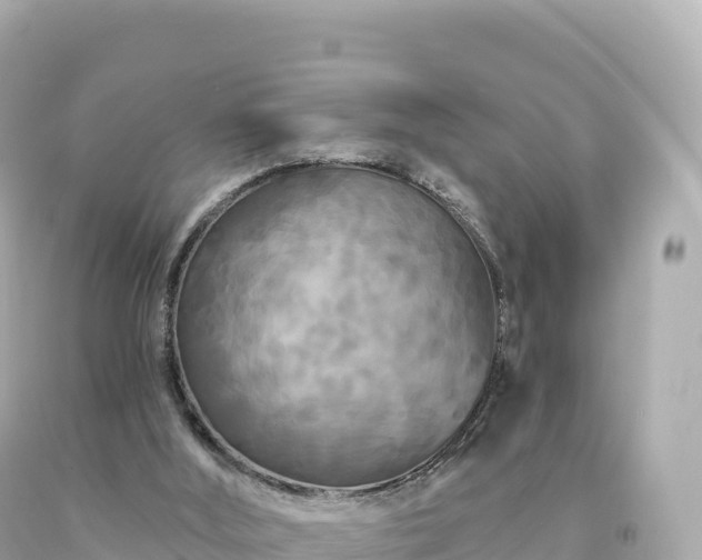 X0000094230012200711021214