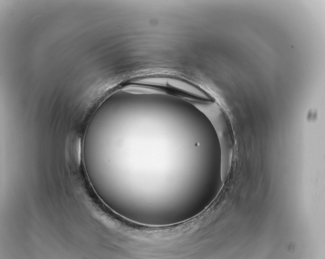 X0000094230013200711021214