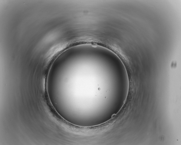 X0000094230014200711021214