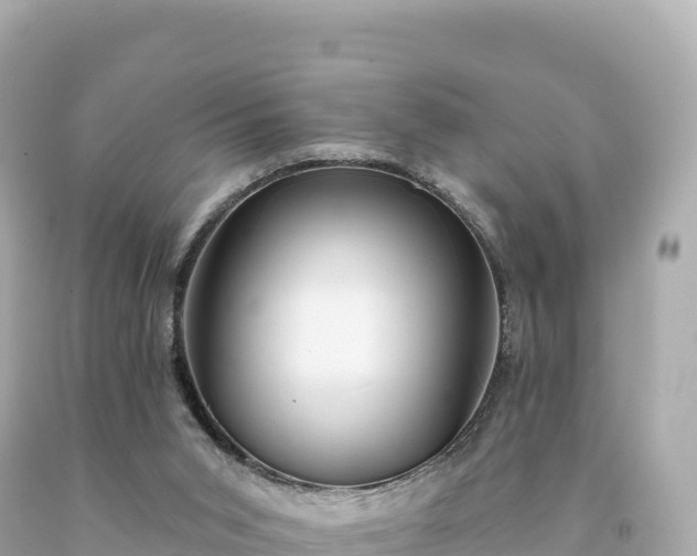 X0000094230015200711021214