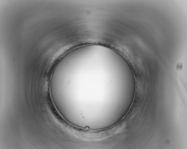 X0000094230016200711021214