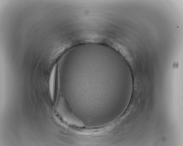 X0000094230017200711021214