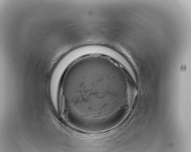 X0000094230019200711021214