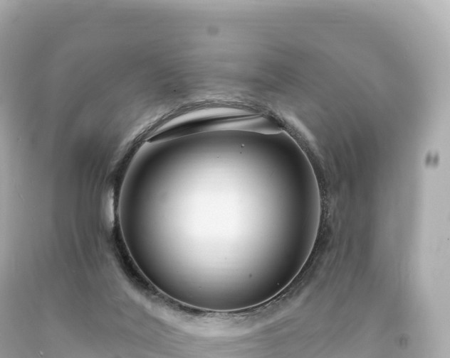 X0000094230020200711021214