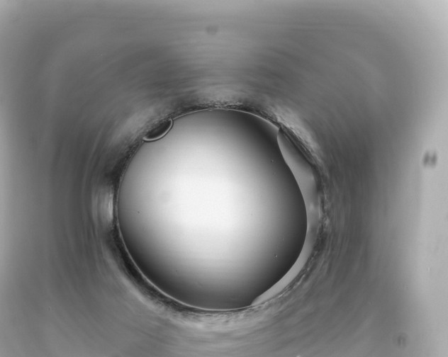 X0000094230021200711021214