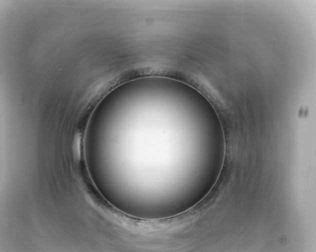 X0000094230022200711021214