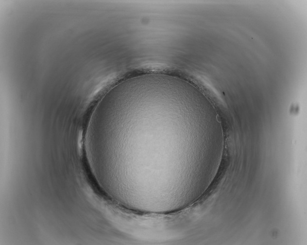 X0000094230024200711021214