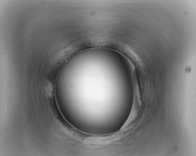 X0000094230025200711021214