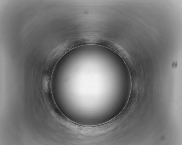 X0000094230026200711021214