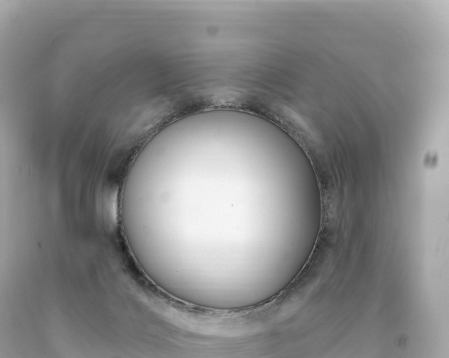 X0000094230028200711021214