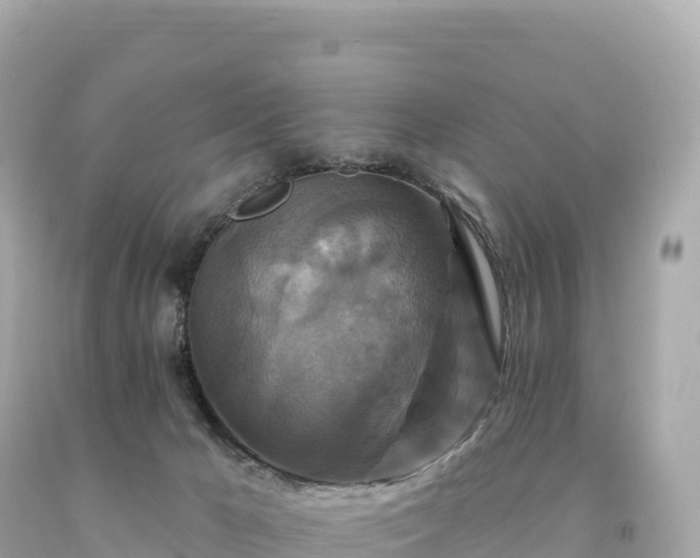 X0000094230029200711021213