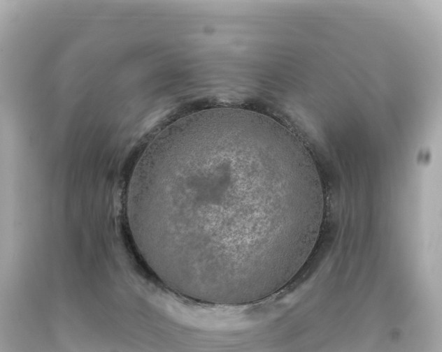 X0000094230032200711021213