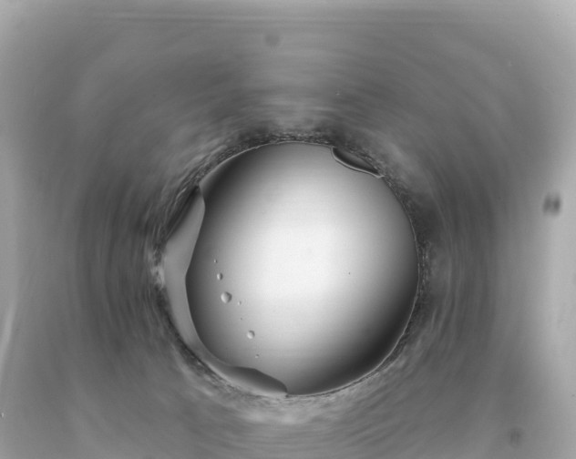 X0000094230033200711021213