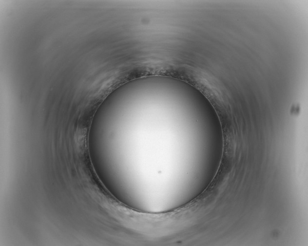 X0000094230034200711021213