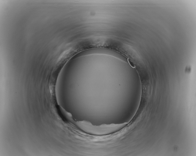 X0000094230035200711021213