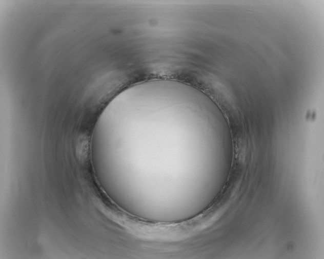 X0000094230036200711021213