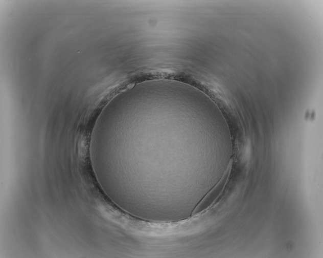 X0000094230037200711021213