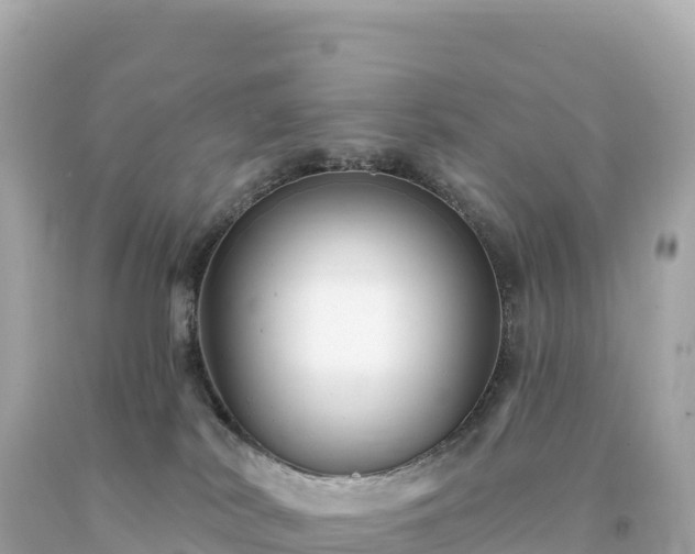 X0000094230038200711021213